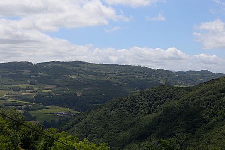 Alta Langa Landscape